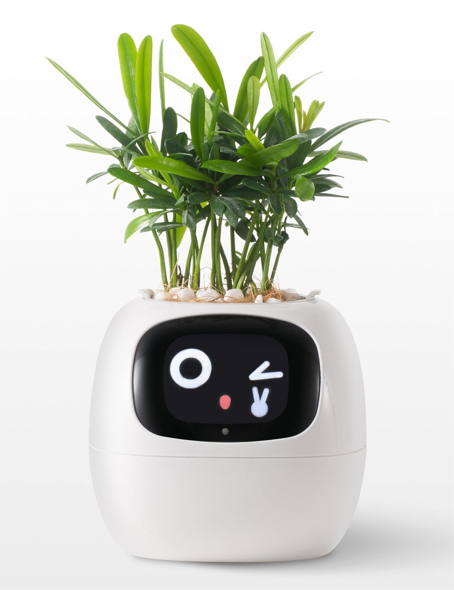 Plantagotchi AI Plant Pot with Expression - Smart Planter Robot Guidance on Plant Companion with Rich Gesture Interaction, Desk Setup Gift (Green)