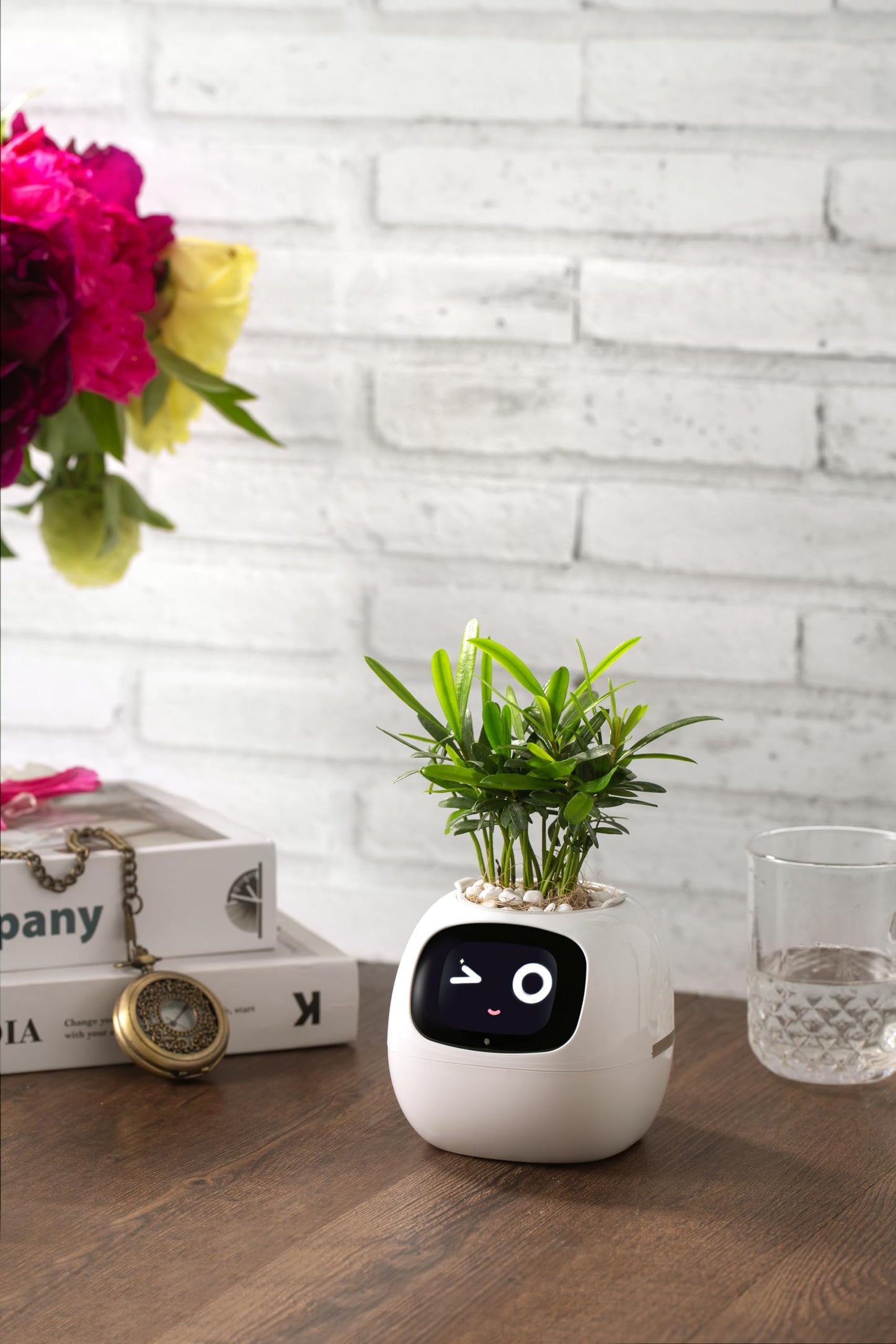 Plantagotchi AI Plant Pot with Expression - Smart Planter Robot Guidance on Plant Companion with Rich Gesture Interaction, Desk Setup Gift (Green)