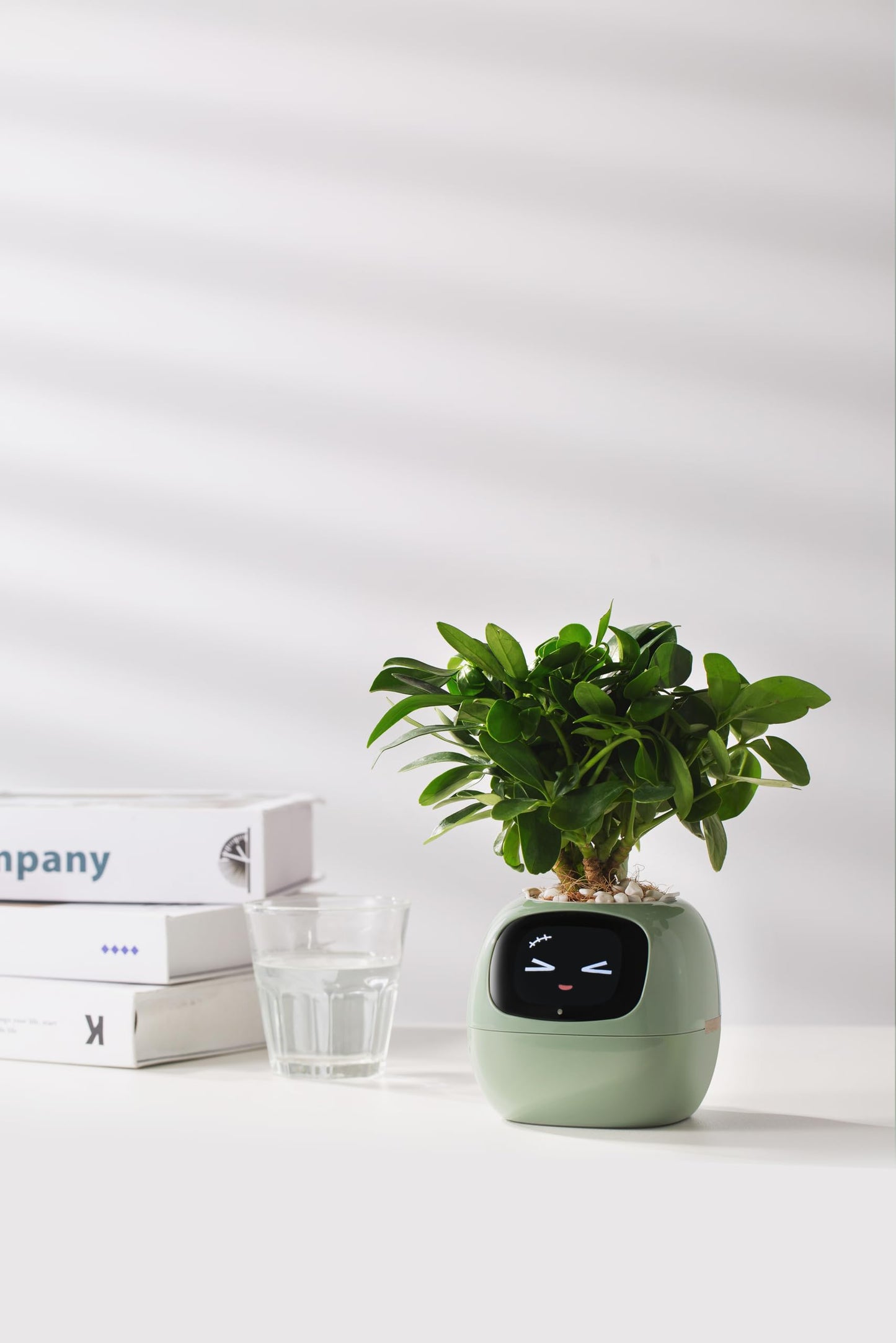 Plantagotchi AI Plant Pot with Expression - Smart Planter Robot Guidance on Plant Companion with Rich Gesture Interaction, Desk Setup Gift (Green)