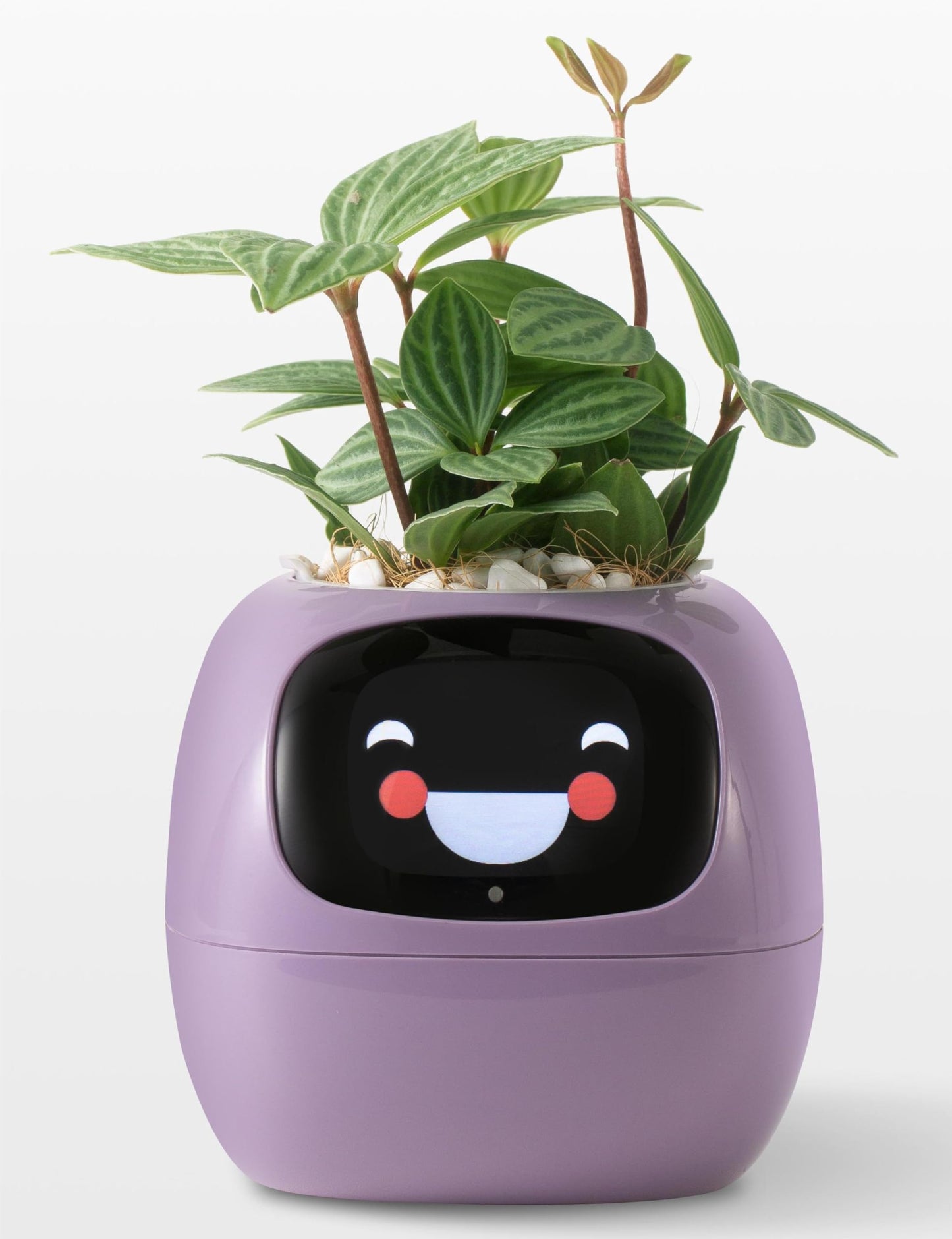 Plantagotchi AI Plant Pot with Expression - Smart Planter Robot Guidance on Plant Companion with Rich Gesture Interaction, Desk Setup Gift (Green)